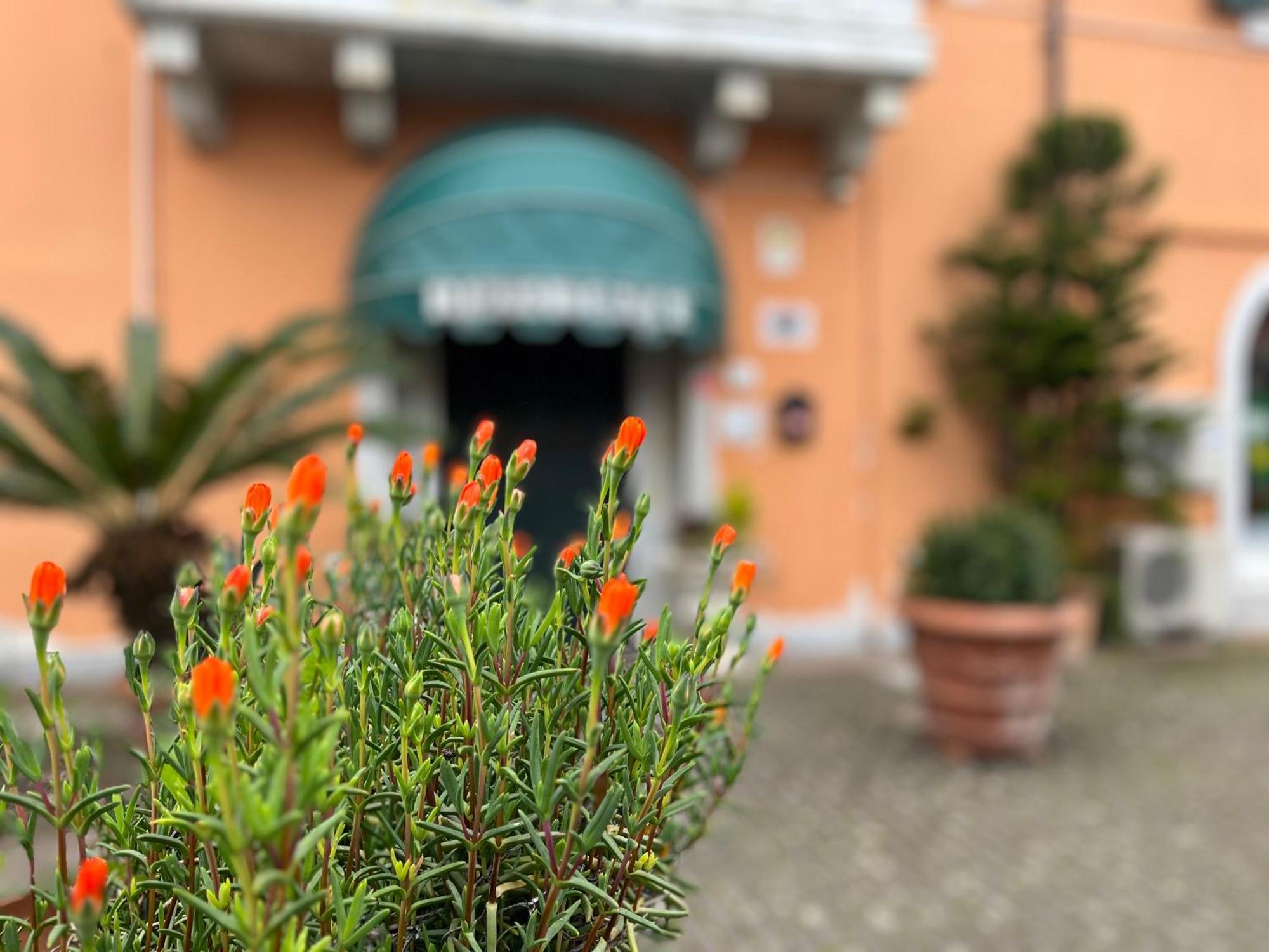 פיאטרה סנטה Residence Internazionale מראה חיצוני תמונה