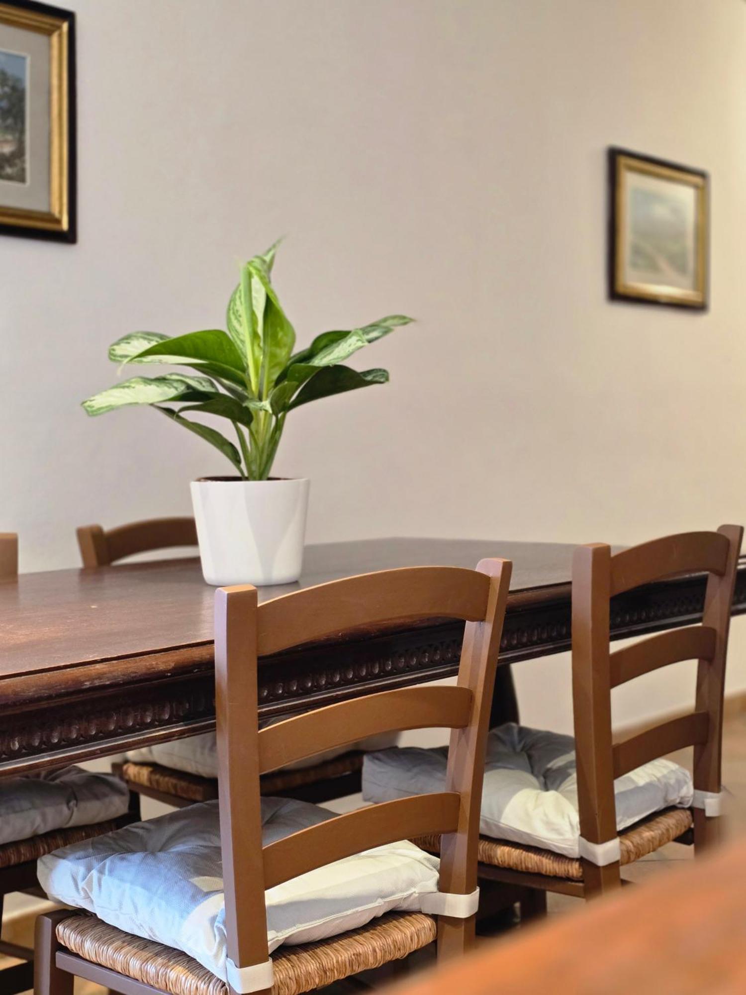פיאטרה סנטה Residence Internazionale מראה חיצוני תמונה